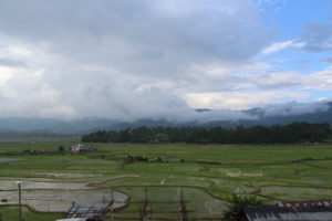 Rice fields at Ziro, Arunachal Pradesh